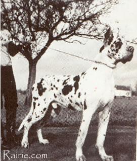 Jarrhus Du Domaine De Lempereur