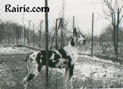 Annett Von Der Aristokratie