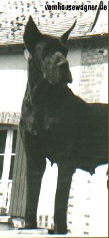 Bonny De La Grisonniere