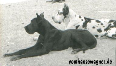 Bahia De La Grisonniere