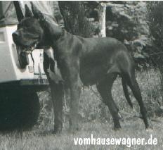 Ullan De La Grisonniere