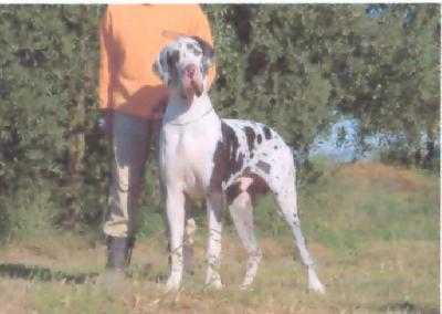 Sean Connery Des Habits Rouges