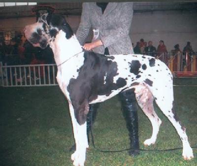 Sean Connery Des Habits Rouges