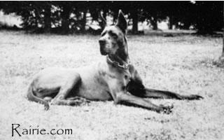 Tanit Du Pre Des Chaumes