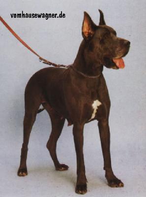 Birthe Von Trautheim