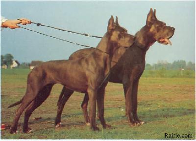 Yasmin Vom Hochstein