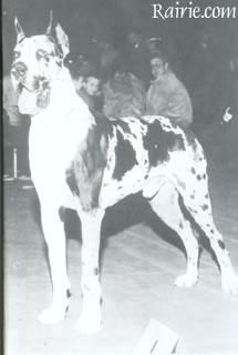 Saupacker Bismarck Germanicus