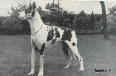 Anka Von Herzogtum Lauenburg