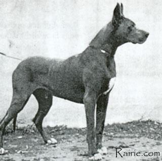 Ch Akbar Von Der Eremitage