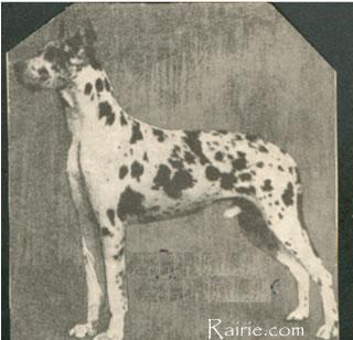 Ch Raudi Von Munchhausen