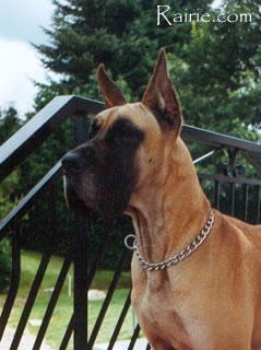 Oxane Des Terres  De La Rairie