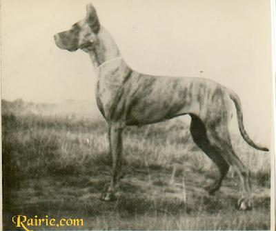 Hilde Von Greiffenhorst