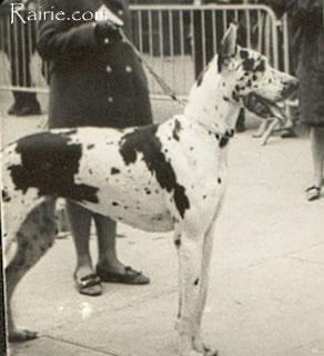 Maty De La Templerie