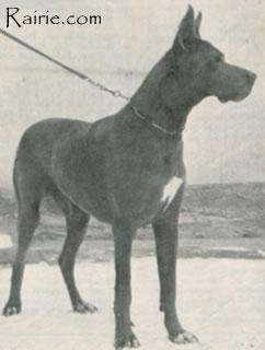 Heiko Von Der Eremitage