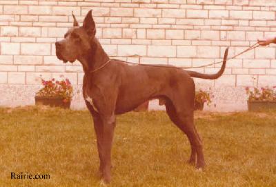 Natchez Du Val De Lamitie