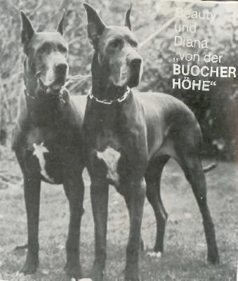 Diana Von Der Buocher Hohe