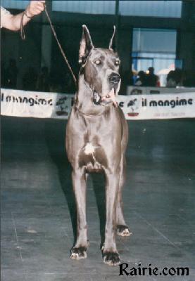 Favorit Von Haus Fresena