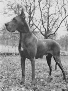 Favorit Von Haus Fresena