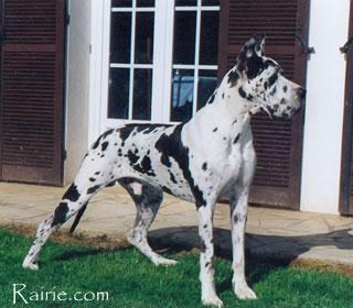 Ogan Des Terres  De La Rairie