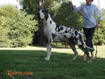 Ch Oreole Des Terres De La Rairie