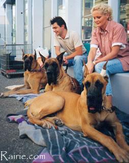 Phaar Des Terres  De La Rairie