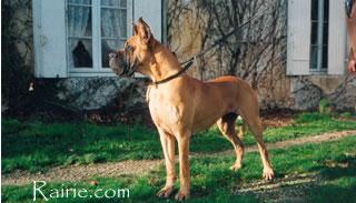 Graal Des Terres  De La Rairie