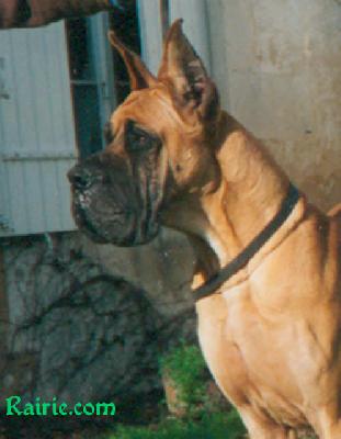 Graal Des Terres  De La Rairie