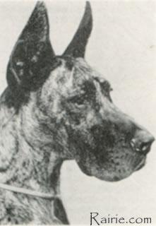 Rune Vom Hause Birkenhagen