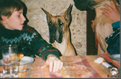 Ch Anemone Des Terres  De La Rairie