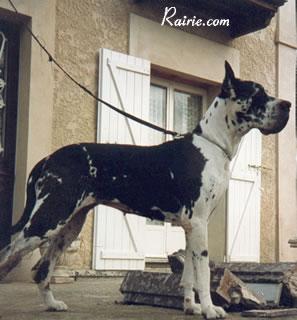 Day Dream Du Domaine De Valdemar