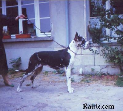 Day Dream Du Domaine De Valdemar