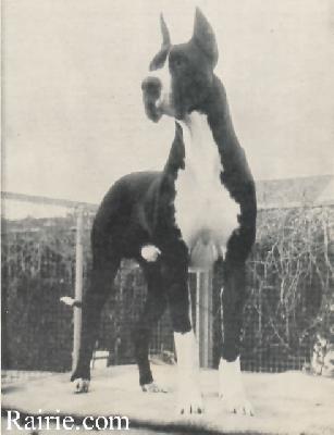 Ch Heros Von Der Ofnethohle