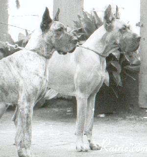 Psyche De La Templerie