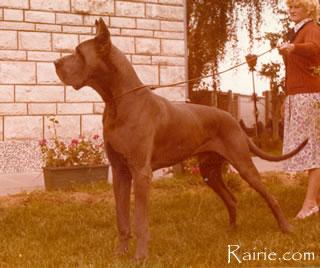 Ch Lord Du Val De Lamitie