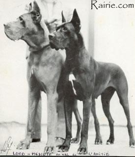 Ch Lord Du Val De Lamitie