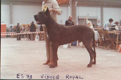 Ch Vidocq Royal