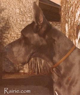 Ch Oneida Des Terres  De La Rairie