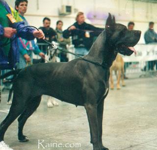 Hathena Des Apollons De La Pile