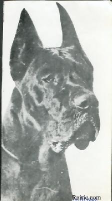 Ch Octave Des Fauvelles