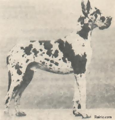 Jaipur Von Der Haardburg