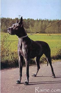 Candy Von Trabersruh