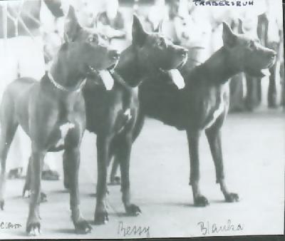 Bessy Von Trabersruh