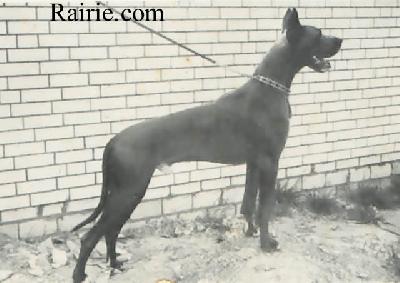 Ferro Von Glashuttenweier