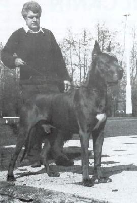 Wrangler V.t Buitengebeuren