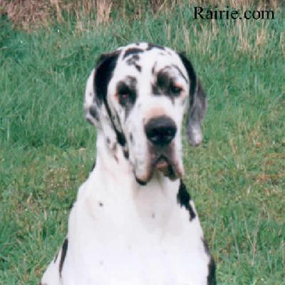 Nuage Des Terres  De La Rairie