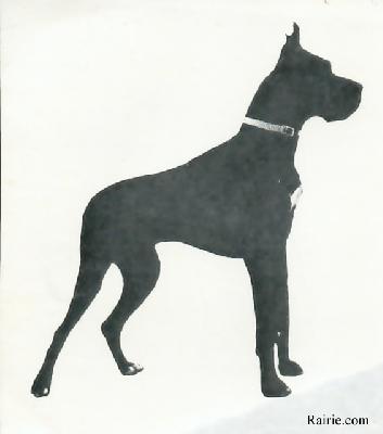 Ch Mylord Von Der Eremitage