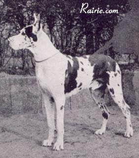 Carlo Von St Magn Obertraubling