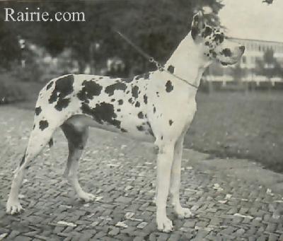 Zorn Von Der Schwanenbrucke