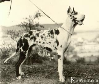 Juan Von St Magn Obertraubling