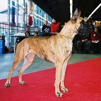 Sagane De La Vallee Du Prieure